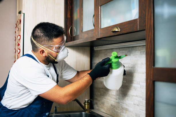 Best Flea Control Services  in Grand Mound, WA
