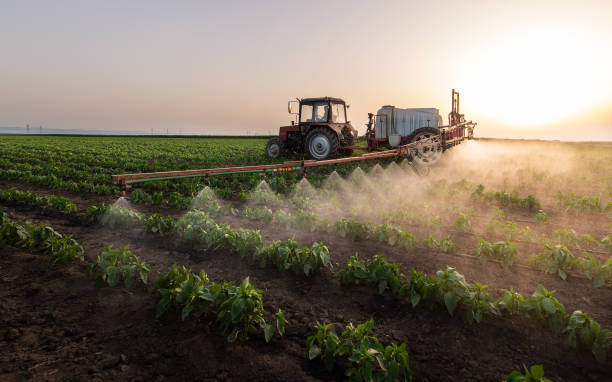  Grand Mound, WA Pest Control Pros