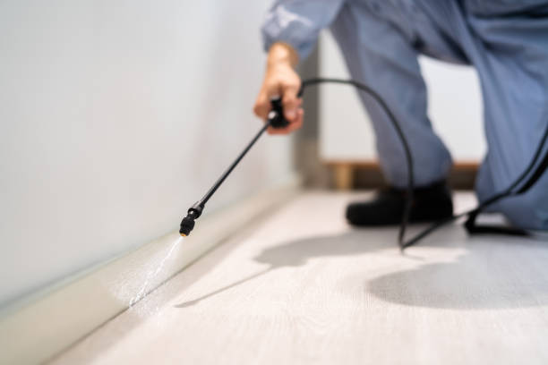 Best Mosquito Control Services  in Grand Mound, WA