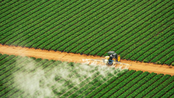 Trusted Grand Mound, WA Pest Control Experts