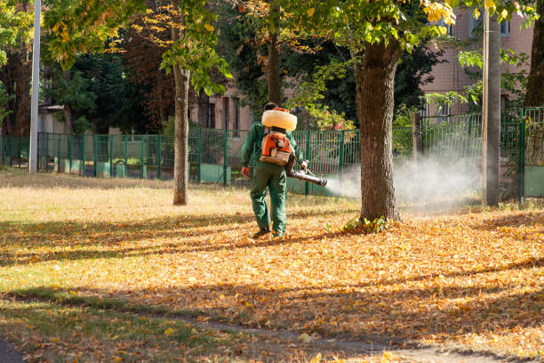 Trusted Grand Mound, WA Pest Control Experts